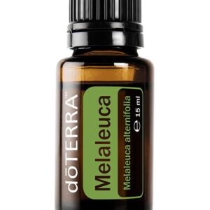Olejek z drzewa herbacianego - Tea Tree/ Melaleuca