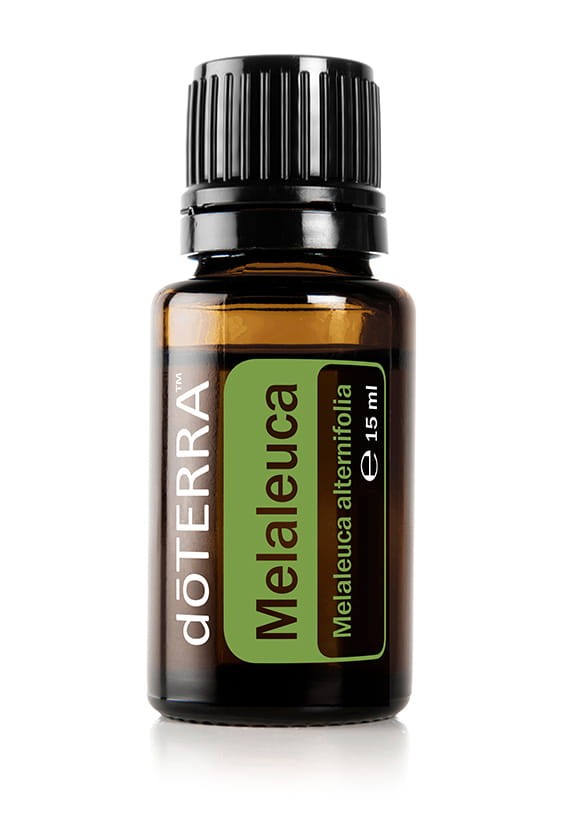 Olejek z drzewa herbacianego - Tea Tree/ Melaleuca